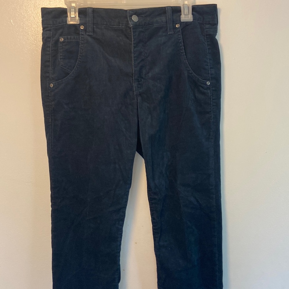 Women's GAP Blue Skinny Boyfriend Pants Sz. 27/4r